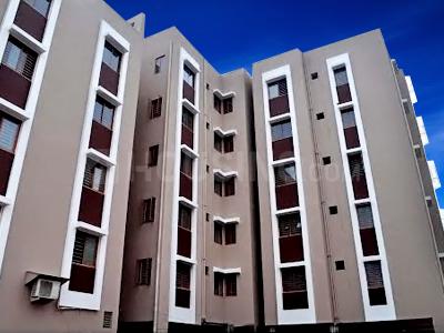 Premier Designs Parvati Krupa