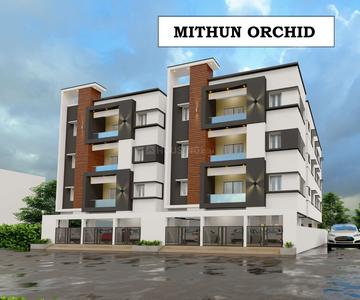 Mithun Orchid