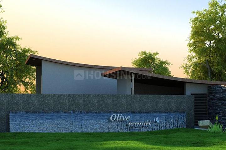 Gallery Cover Pic of Olive Woods