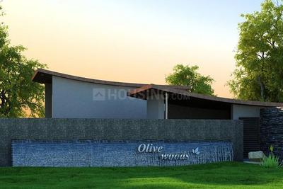 Residential Lands for Sale in Olive Woods