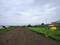 Gallery Cover Pic of Shree Leaf City