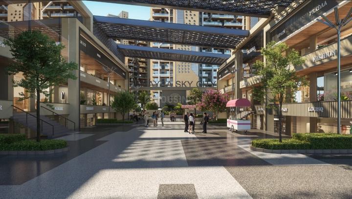 Amayra Amayra Plaza Elevation 1