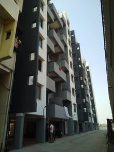 Sai Exotique B Wing Project Images