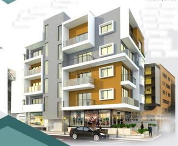 Desai Cyprus Oak Project Images