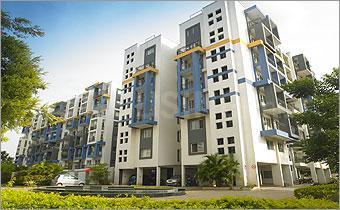Embassy Meadows