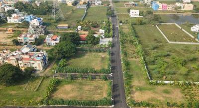 RLD Royal Pearl Project Images