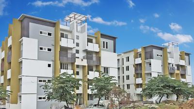 Fortuna Krishna Project Images
