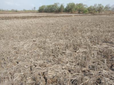 Residential Lands for Sale in AJ LAND IN VINDHANE THIRD MAHA MUMBAI