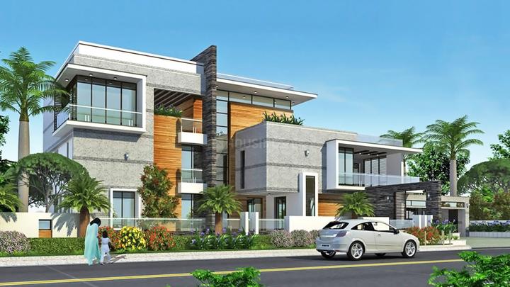 Gallery Cover Pic of BricMor Royal De Empyrean