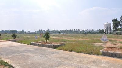 Residential Lands for Sale in Peninsula Pine woods