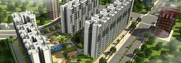 AFOWO Raksha Addela - Image 1