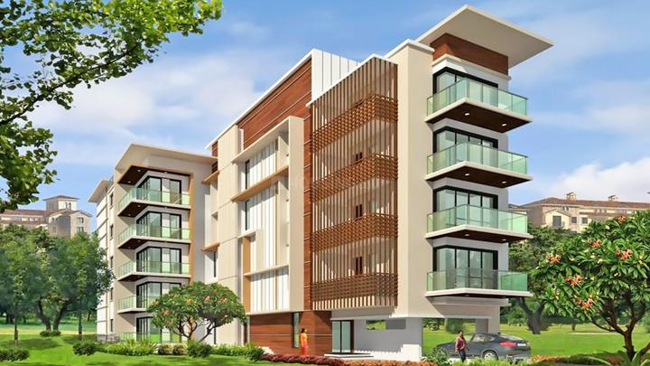 Gallery Cover Pic of Excel Nydus