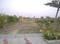 The Urban Forest Elevation 1