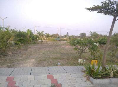 The Urban Forest Elevation 1
