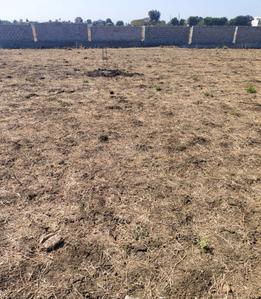 Residential Lands for Sale in Maarg Arihant Palms