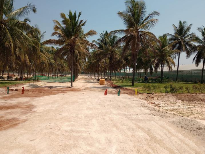 Gallery Cover Pic of Pearl Mayberry