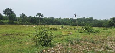 Platinum Township Elevation 1