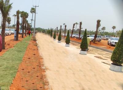 Residential Plot