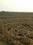 Gallery Cover Pic of Green Empire Land