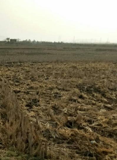 Gallery Cover Pic of Green Empire Land