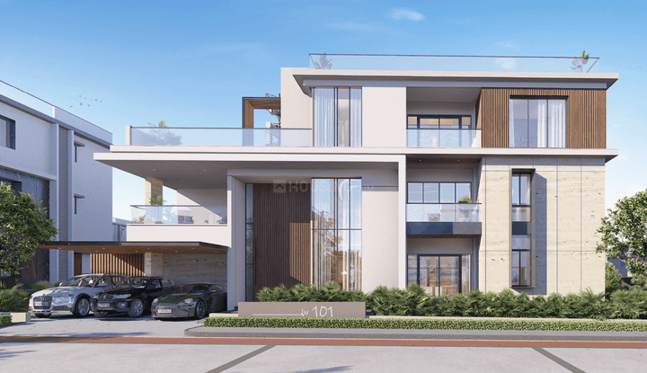 Gallery Cover Pic of Bluefin Sylvanor