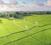 Gallery Cover Pic of Prestige Green Fields