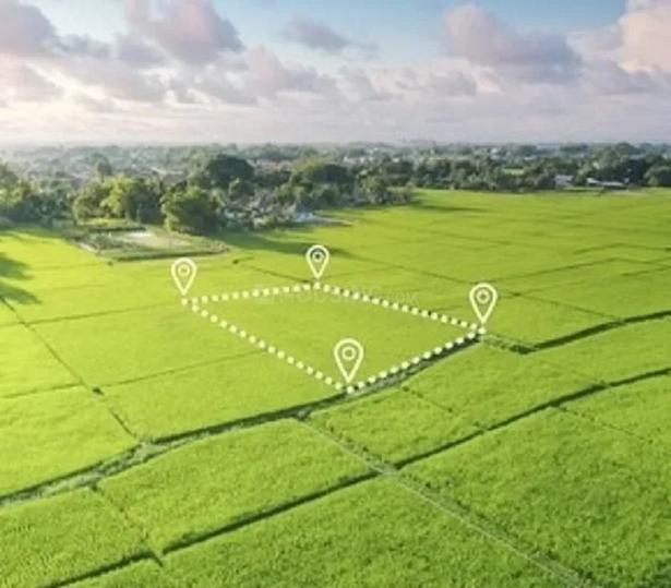 Gallery Cover Pic of Prestige Green Fields