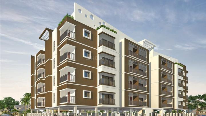 Gallery Cover Pic of First Daisy