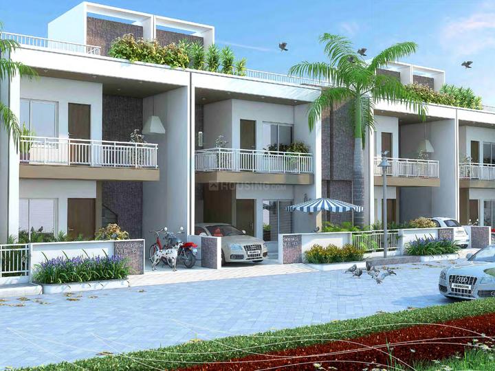 Gallery Cover Pic of IBD Revaa