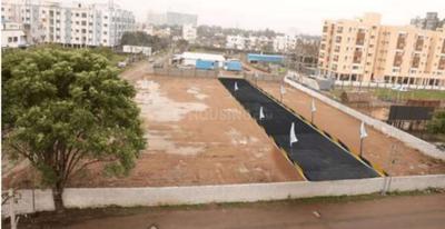 Minnath Flora Project Images