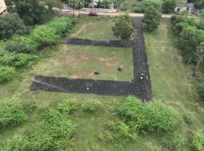 APJ Garden