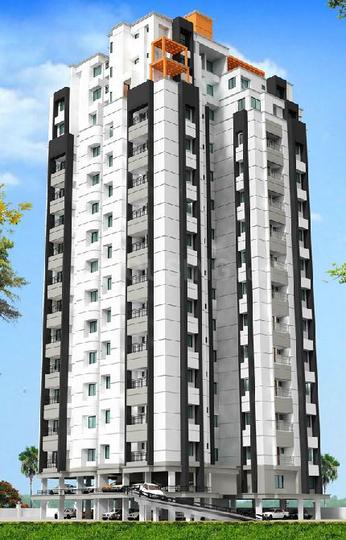 Gallery Cover Pic of Rainbow Sea Shells