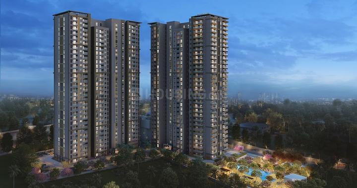 Gallery Cover Pic of Brigade Citrine