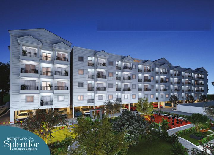 Gallery Cover Pic of Signature Splendor