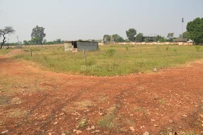 Gallery Cover Pic of Shree Nagar