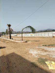 Safrone Oasis Green 1 Project Images