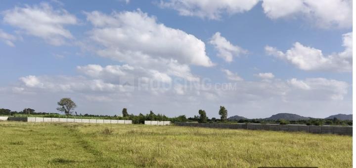 Gallery Cover Pic of MH Brush Strokes