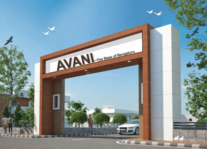 Gallery Cover Pic of Avani