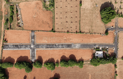 Nil Project Images
