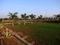 Gallery Cover Pic of Midmac Palm Meadows Phase III