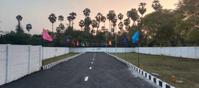 Livify Sunrise Project Images