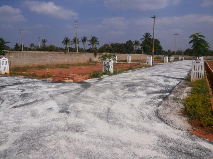 Gallery Cover Pic of Max Dharani