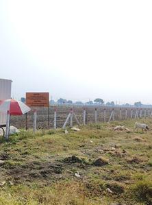 Residential Lands for Sale in Omaxe Super Corridor