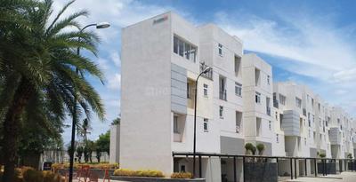 Akshaya Avenue M