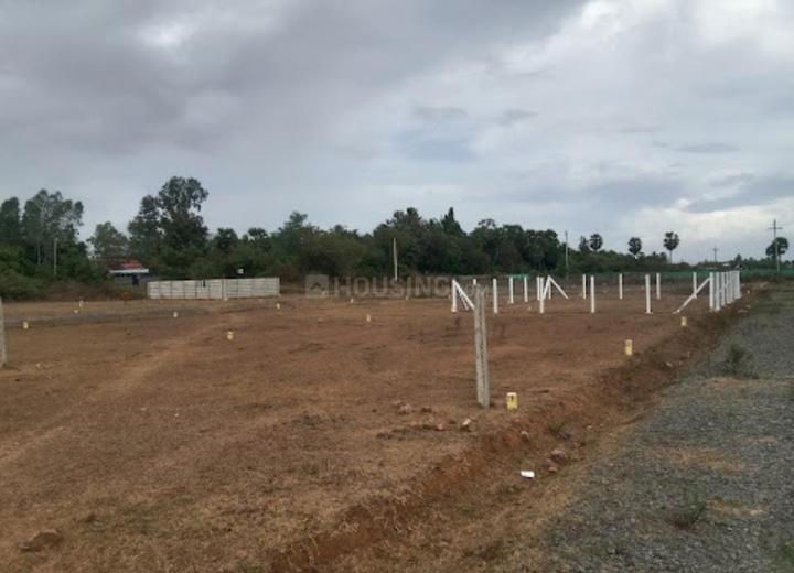 Gallery Cover Pic of Global JA Nagar