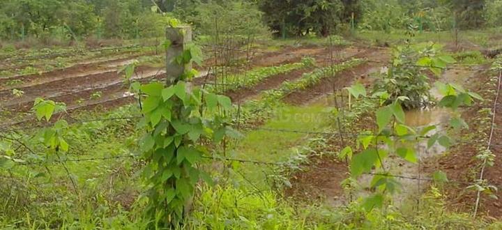 Gallery Cover Pic of Disha Nirvana Farms