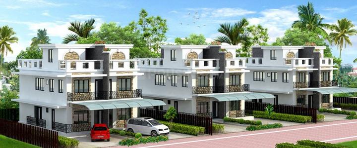 Gallery Cover Pic of Angelplus Padmarag