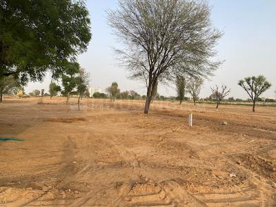 Gallery Cover Pic of Govind Bagh