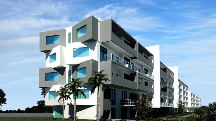 80 Trees More Images 1