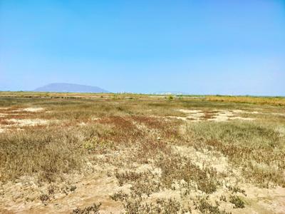 World Residential And Commercial Plots In Belondkhar Project Images